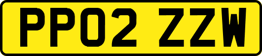 PP02ZZW