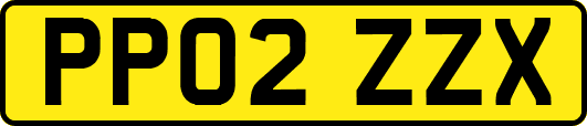 PP02ZZX