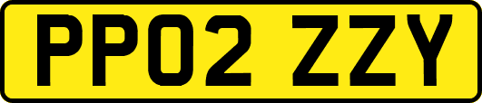 PP02ZZY