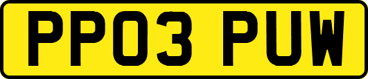 PP03PUW