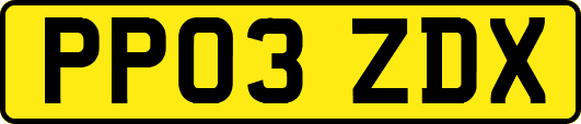PP03ZDX