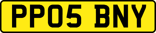 PP05BNY