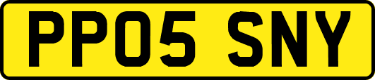 PP05SNY