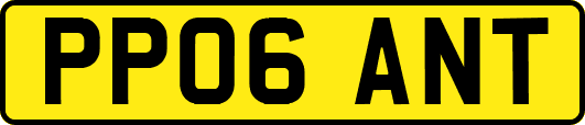 PP06ANT