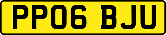 PP06BJU