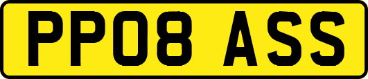 PP08ASS