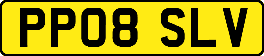 PP08SLV