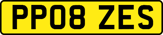 PP08ZES