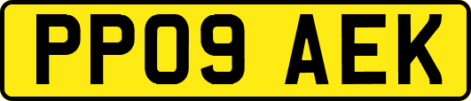 PP09AEK