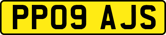 PP09AJS