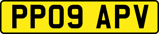 PP09APV
