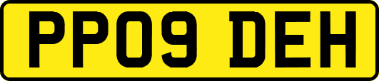 PP09DEH