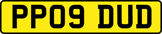 PP09DUD