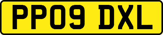 PP09DXL
