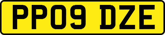 PP09DZE