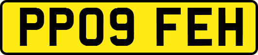 PP09FEH