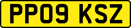 PP09KSZ