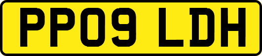PP09LDH