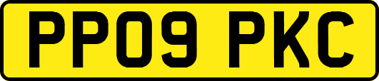 PP09PKC