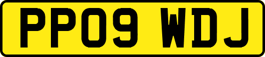 PP09WDJ