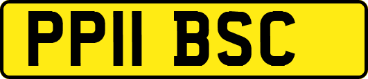 PP11BSC