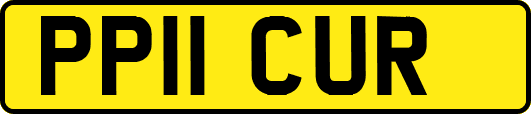 PP11CUR