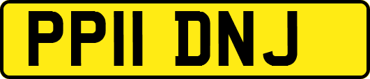 PP11DNJ
