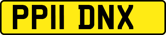 PP11DNX