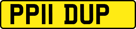 PP11DUP