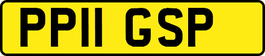 PP11GSP