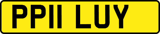 PP11LUY