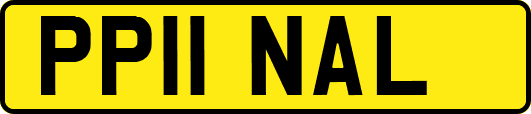 PP11NAL