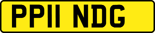 PP11NDG