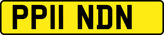 PP11NDN