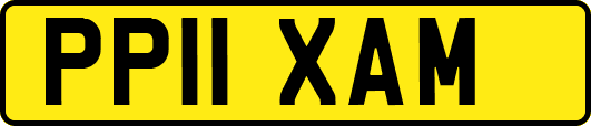 PP11XAM