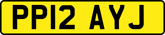 PP12AYJ