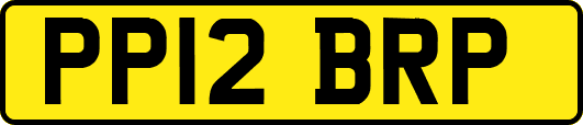 PP12BRP