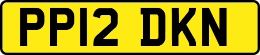 PP12DKN