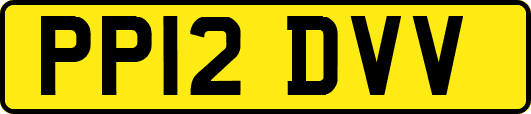 PP12DVV