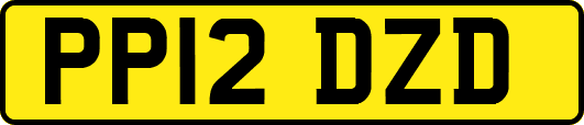 PP12DZD