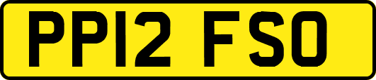 PP12FSO