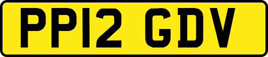 PP12GDV