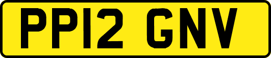 PP12GNV