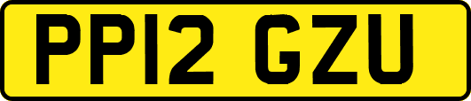 PP12GZU