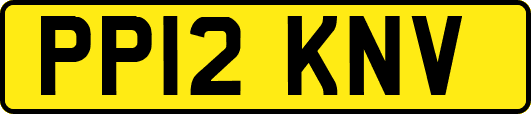 PP12KNV