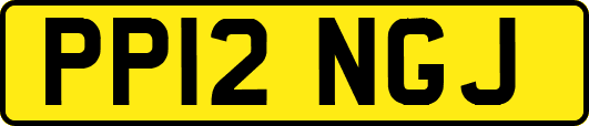 PP12NGJ