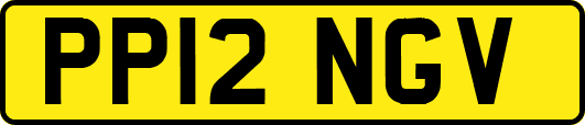 PP12NGV
