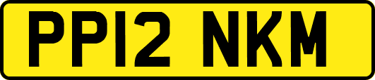 PP12NKM