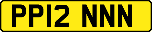 PP12NNN