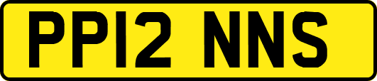 PP12NNS